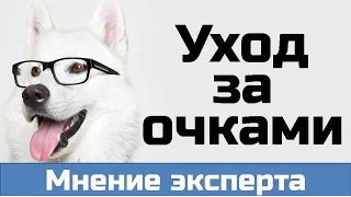 Как ПРАВИЛЬНО ухаживать за очками. Как почистить очки? Чем протирать очки?