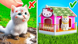 I Built Hello Kitty House for Stray Cat 😻 Best Hacks for Pet Owners