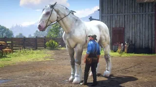 LE PLUS GRAND CHEVAL DE RED DEAD REDEMPTION 2