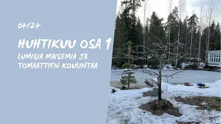 Huhtikuun kooste osa 1 UUSI -tomaatit ja puutarhan tunnelmia🌱❄️