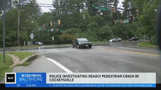 Woman dies after struck by truck in Cockeysville