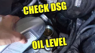 How to Check DSG Oil Level of Modern Automatic Transmission Top Up ATF Fluid Audi TT S Tronic