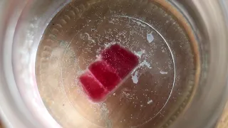 Haribo Sweet Growing In Water