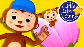 Monkey Peekaboo | Nursery Rhymes for Babies by LittleBabyBum - ABCs and 123s