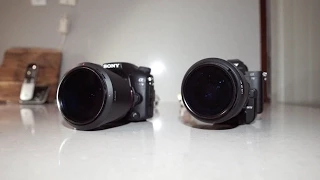 sony a77ii vs a7ii