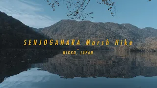 戦場ヶ原ハイキング SENJOGAHARA Marsh Hike - NIKKO, JAPAN