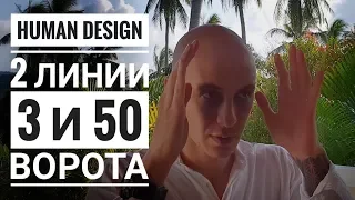 Дизайн Человека 3 и 50 ворота. 2 линии Даниил Трофимов. Human Design