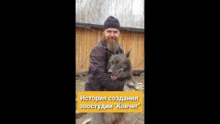 История создания кино- зоостудии "Ковчег"