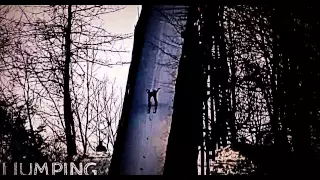 14.2.15 - Vikersund (N): Ski Jumping World Record: Peter Prev