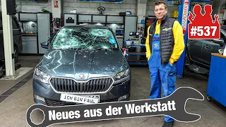 Skoda komplett ZERSTÖRT - nach nur 4.000 km! 😢 | BMW 6er voller Nüsse!! 🥜🥜🥜