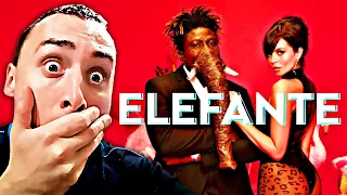 NK - ELEFANTE | РЕАКЦИЯ