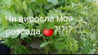 На решті потепліло . Висадила розсаду 🍅. @ Дійшли руки до квітнику.🌹🥀🌺🌷.