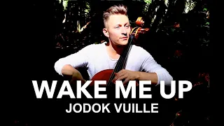 Wake Me Up - Avicii / Cello Cover by Jodok Vuille