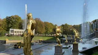 #Russia 🇷🇺 Great Peterhof Palace | A walk around the Peterhof Museum Complex, The Russian Versailles