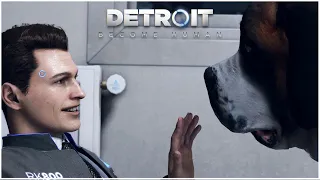 Igazságot az Androidoknak! - Detroit Become Human #3