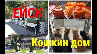 Живём на Юге/Прогулка по ЕЙСКУ/Цены в КАФЕ/Кошкин ДОМ!