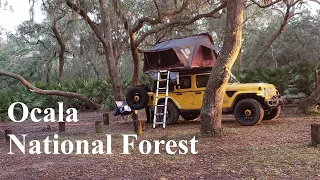 Ocala National Forest - Hopkins Prairie