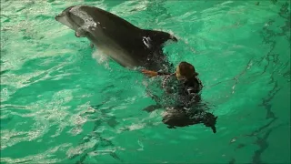 Санкт-Петербургский дельфинарий/St. Petersburg Dolphinarium.