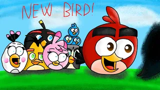 Sneak Peek: Angry Birds Kate: New Bird! | Special