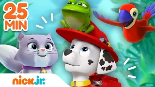 دوريات المخلاب | لحظات إنقاذ مارشال للحيوانات | Nick Jr. Arabia