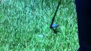 Tiger Woods Chip In - 16th Hole - Memorial Tournament