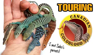 INCREDIBLE REPTILE FACILITY TOUR | CANADIAN COLDBLOOD | Monitor lizards, Geckos, and more!
