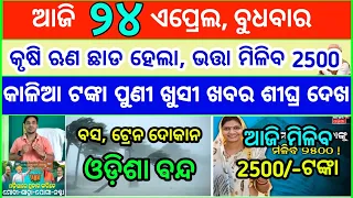 Today's breaking news odisha || Odia News || 24 April 2024 || kalia yojana | heavy rain in odisha