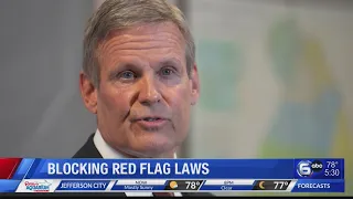 Blocking red flag laws in Tennessee