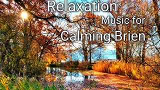 Beautiful relaxing piano music for calming Brien with waterfalls and Birds chirping#meditation