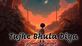 Tujhe Bhula Diya | Full Audio | Slowed + Reverb | Lofi