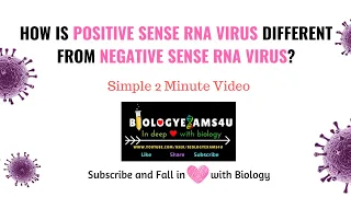 Difference between Positive Sense  and Negative Sense RNA virus