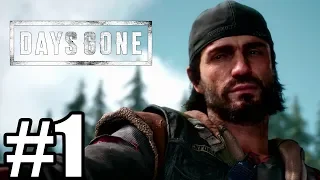 Days Gone Gameplay Walkthrough Part 1 - PS4 Pro ( No Commentary)