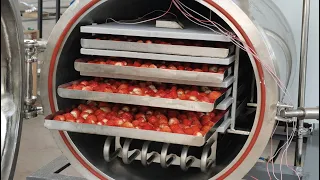 How to freeze dry food by lyophilizer? Freeze drying process | Freeze dryer machine manufacturer