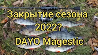 Закрытие сезона 2022? Микроджиг с DAYO Magestic 1.98
