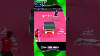 Insane Rally Fan Zhendong vs Felix Lebrun #pingpong #tabletennis #sports #shorts