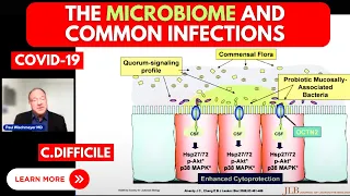 Gut Microbiome Fundamentals and Common Infections w/Dr.Paul Wischmeyer MD