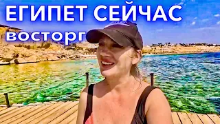 Египет 2023. Почему СЮДА все ЕДУТ❗️ЛУЧШИЙ ПЛЯЖ и РИФ Faraana Reef 4*. Шарм Эль Шейх сейчас