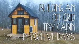 Building an Off Grid Tiny Cabin in Twelve Days