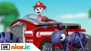 Paw Patrol | Pups Save Tiny Marshall | Nick Jr. UK