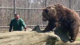 This video is just so cute. Jim playing with Leo. Oh Leo you are just the cutest!!