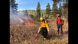 Jen Baron: Re-introducing fire as a process - Restoring disrupted fire regimes across landscapes