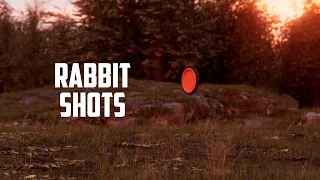 Rabbit Targets in Sporting Clays: Pro Tips from 3-Time National Champion Zachary Kienbaum