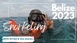 Snorkeling in Belize | Barrier Reef | Moho Caye & Silke