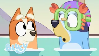 Escuela de Natación | Bluey Español Canal Oficial