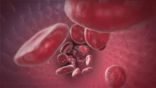 FDA approves first gene therapies for sickle cell disease