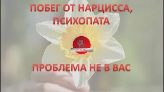 ПОБЕГ ОТ НАРЦИССА, ПСИХОПАТА, АБЬЮЗЕРА. ПРОБЛЕМА НЕ В ВАС. ЧТО ВАЖНО ЗНАТЬ. (шаг № 3)