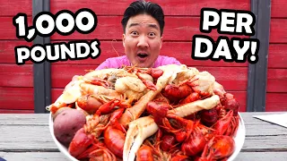 Massive CRAWFISH BOIL! Why SEAFOOD in NEW ORLEANS is a Must-Try!