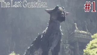 The Last Guardian First Hour of Gameplay | PS4 Walkthrough Part 1 [Full 1080p HD]