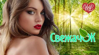 СВЕЖАЧОК ♫ СБОРНИК КРАСИВЫХ ПЕСЕН WLV ♫ RUSSISCHE MUSIK ♫ RUSSIAN MUSIC HITS