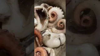 Octopus in garlic